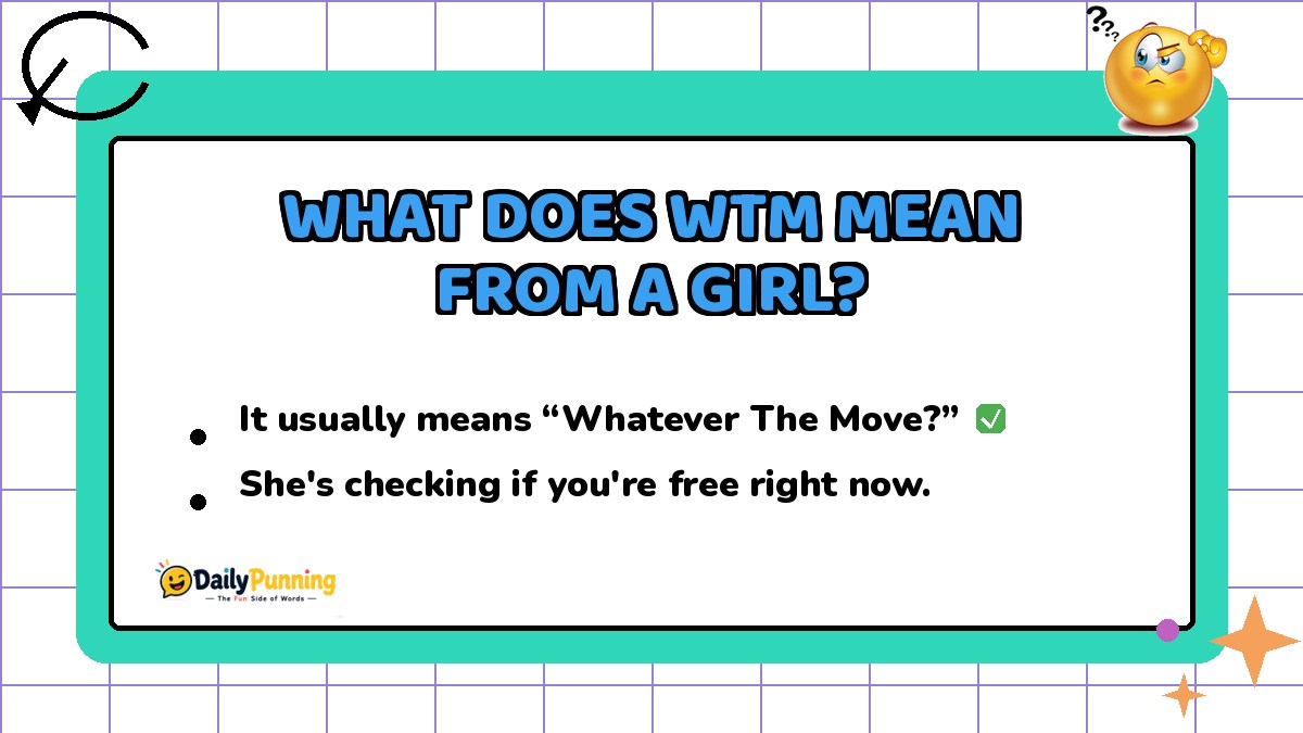WTM meaning from a girl explained on a colorful chat card with checkmark badge, confused emoji, and DailyPunning logo design.