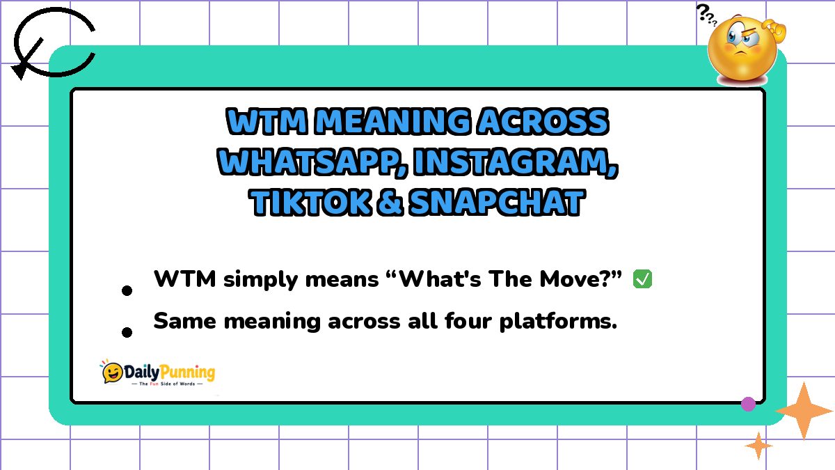 WTM meaning explained across WhatsApp, Instagram, TikTok and Snapchat on a colorful chat card with checkmark badge and DailyPunning logo.