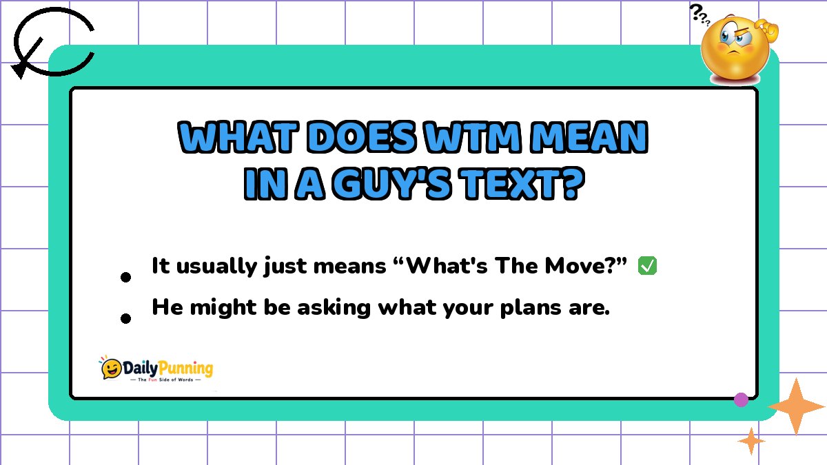 WTM meaning in a guy's text explained on a colorful chat card with checkmark badge, confused emoji, and DailyPunning logo.