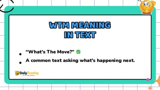 WTM meaning in text explained on a colorful chat card with checkmark badge, confused emoji, and DailyPunning logo design.