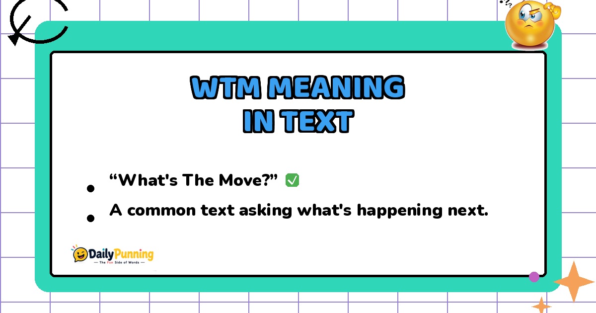 WTM meaning in text explained on a colorful chat card with checkmark badge, confused emoji, and DailyPunning logo design.
