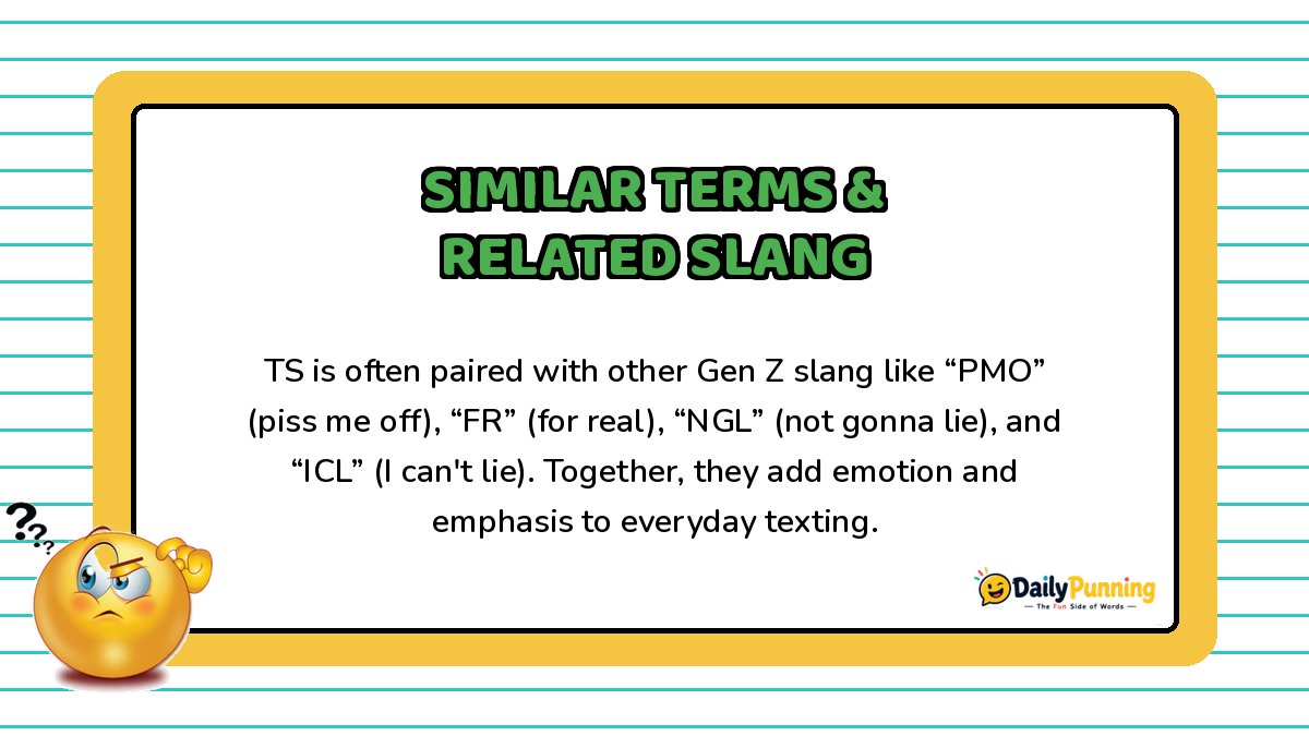 Similar terms and related slang to TS explained on a yellow bordered card with confused emoji and DailyPunning logo design.